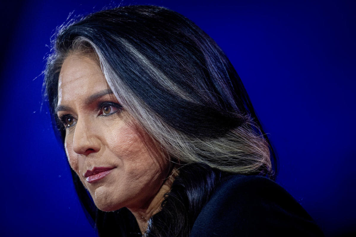 Democrats and Republicans in Congress worried that Gabbard might leak information to Syria